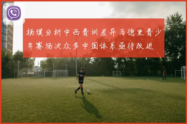 杨璞分析中西青训差异马德里青少年赛场次众多中国体系亟待改进