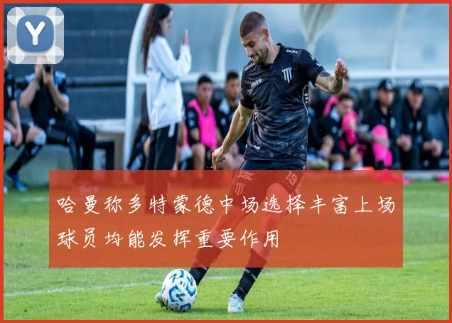 哈曼称多特蒙德中场选择丰富上场球员均能发挥重要作用