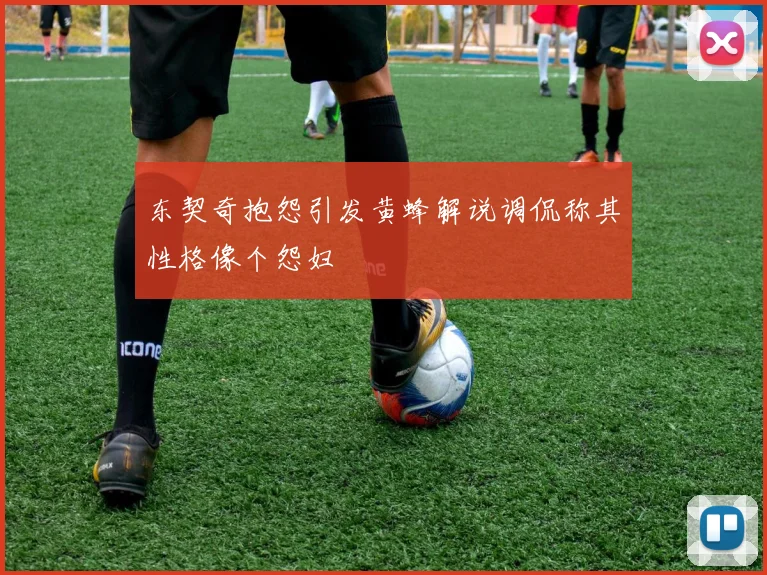 东契奇抱怨引发黄蜂解说调侃称其性格像个怨妇