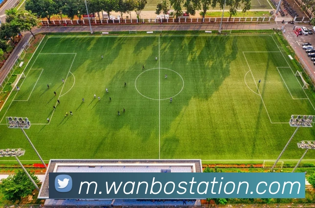 多媒体互动体验